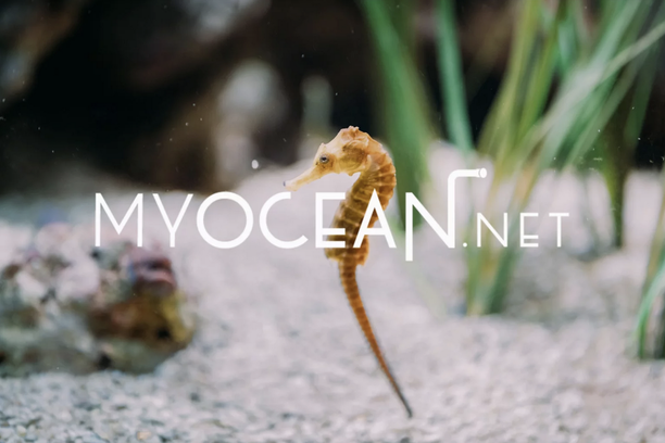 image for MYOCEAN.NET